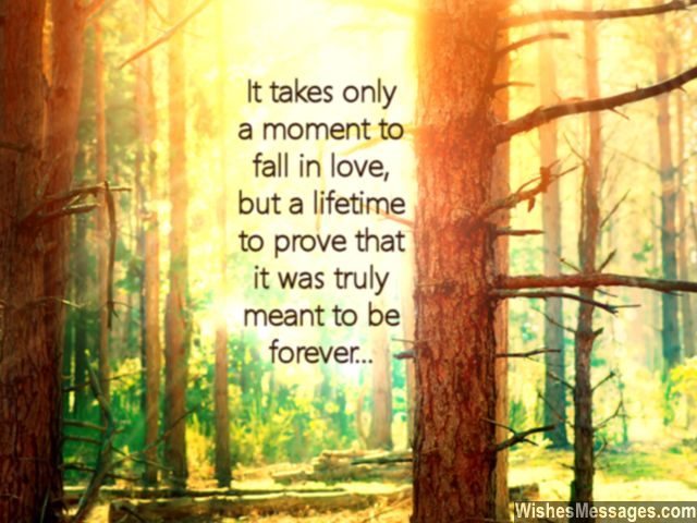 Falling in love quote lifetime to prove meant to be forever