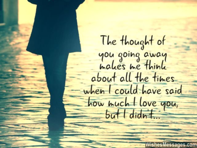 Goodbye quote i should have said i love you before leaving